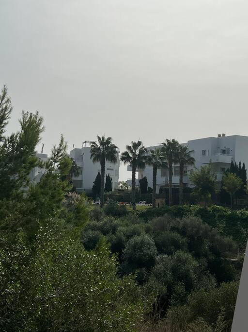 Great Penthouse With Pool And Private Roof Terrace * Santanyí