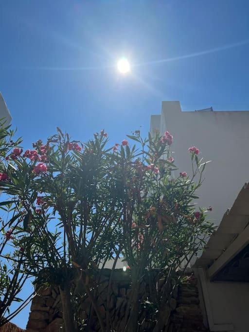 Apartment Great Penthouse With Pool And Private Roof Terrace Santanyí